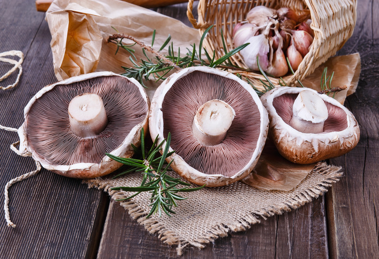 Stop Taking Vitamin D: Eat Portobello Mushrooms