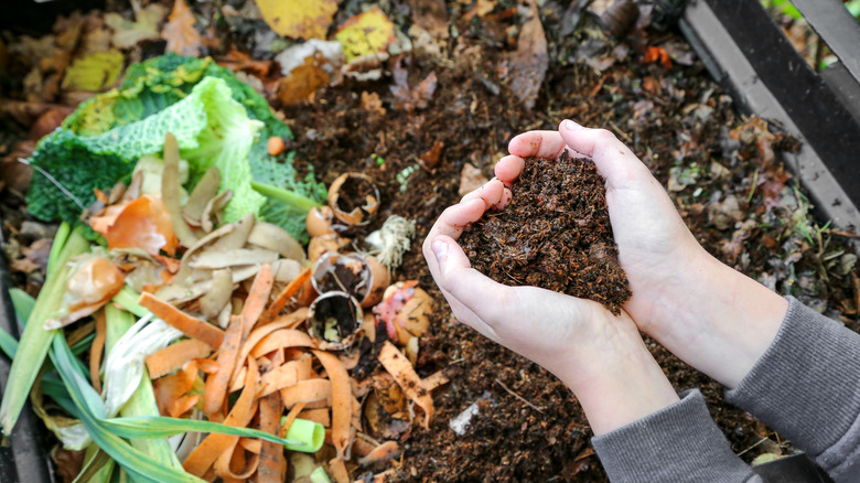 hands holding compost above compost bin