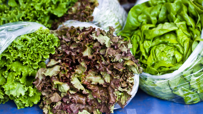 lettuce heads in plastic bags