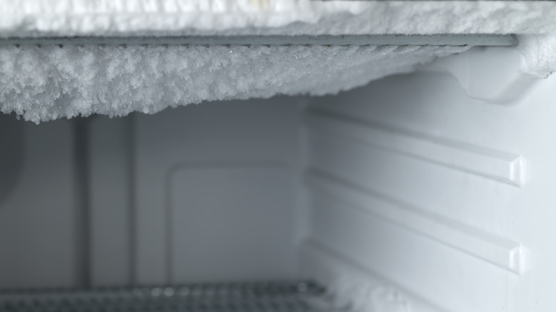 Inside of freezer