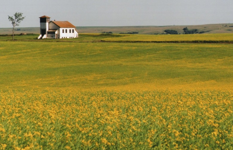 North Dakota 