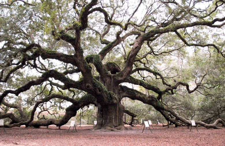 South Carolina