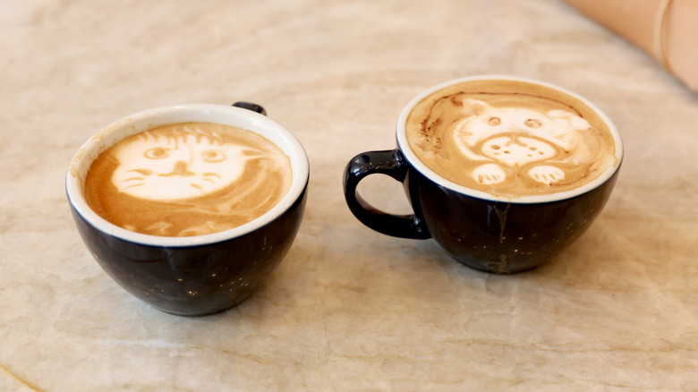 cat and dog latte art