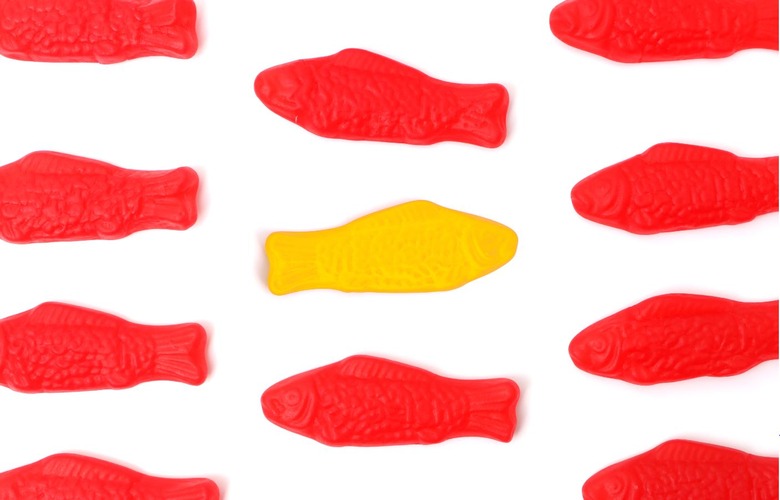 Swedish Fish