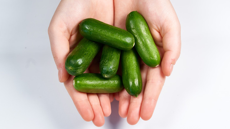 Tiny cucumbers in palms of hand