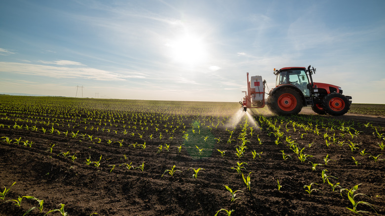 A tractor sprays a field