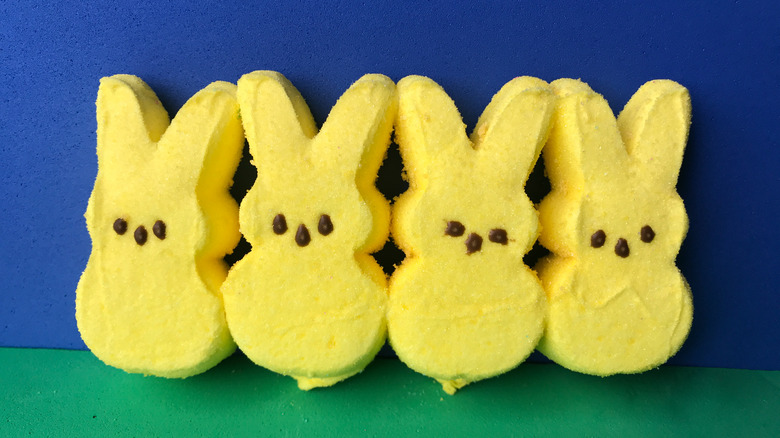 four yellow peeps bunnies