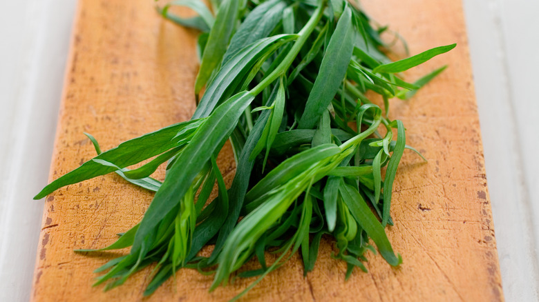 Fresh tarragon on a wooden board