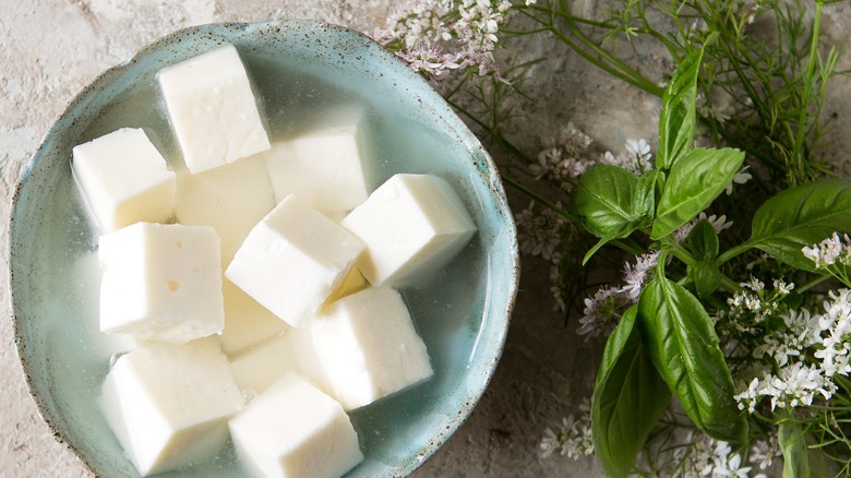 Feta cubes in brine bowl