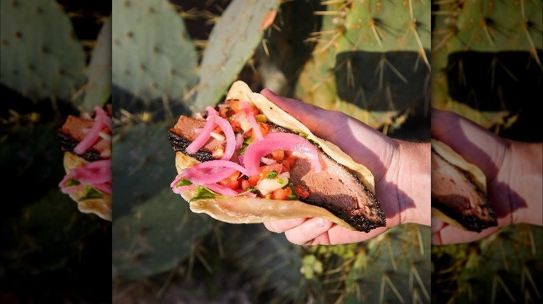hand holding taco
