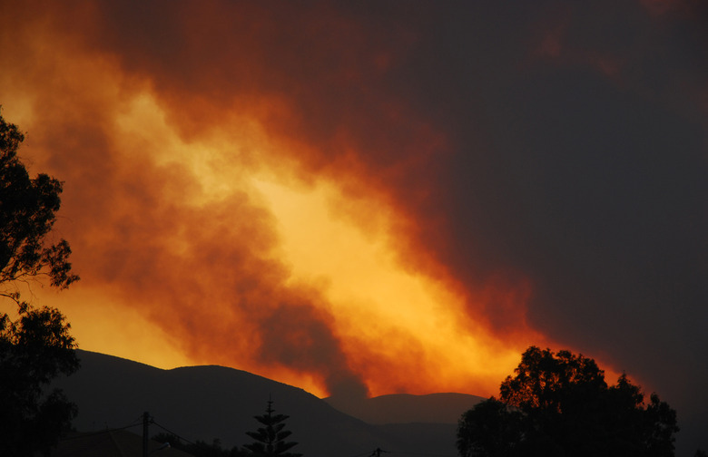 The Wine Country Wildfires