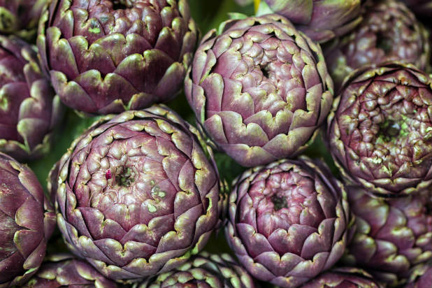 Globe Artichokes