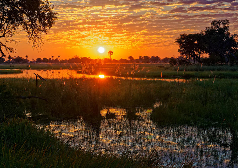 andBeyond Xaranna Okavango Delta Camp (Okavango Delta, Botswana)