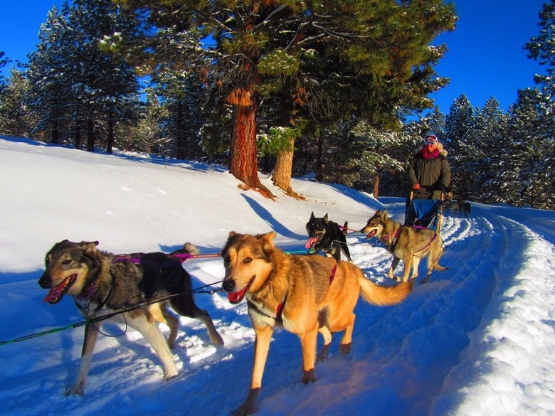 Triple Creek Ranch (Darby, Mont.)