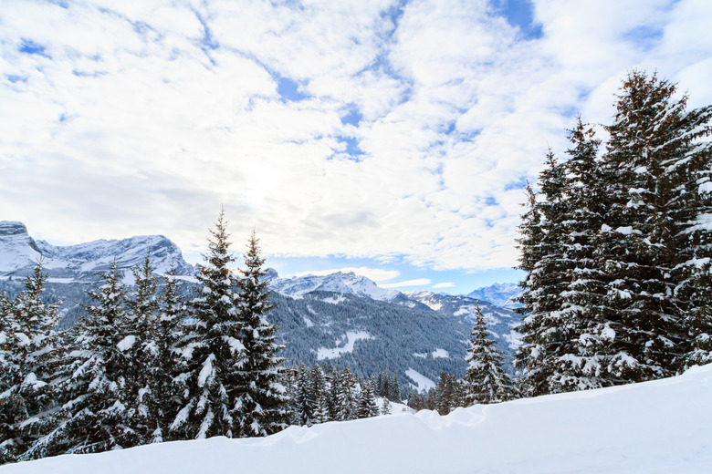 Lonhea Alpine Clinic (Villars-sur-Ollon, Switzerland)