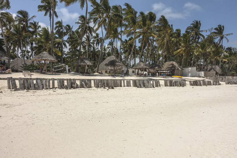 The Palms (Bwejuu, Tanzania)