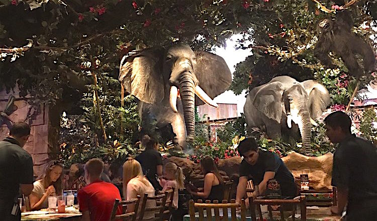 Rainforest Cafe