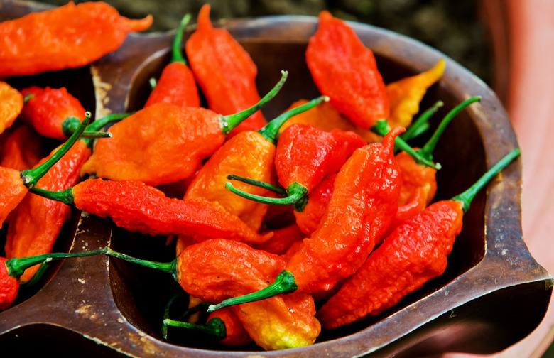 The 11 Spiciest Chile Peppers on Earth