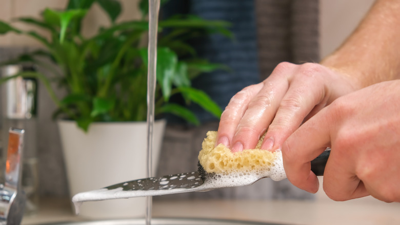 cleaning knife with soapy sponge