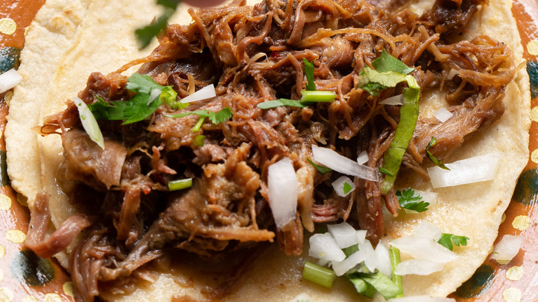 Lamb barbacoa taco