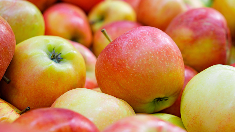 Pile of Jonagold apples