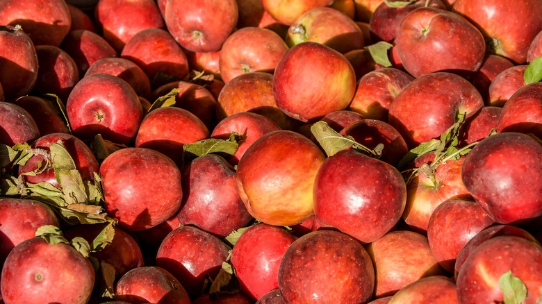 Pile of Winesap apples