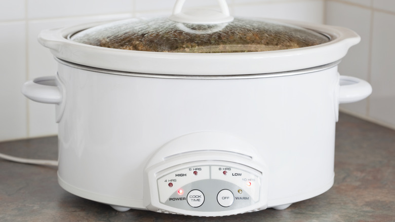 Slow cooker on counter