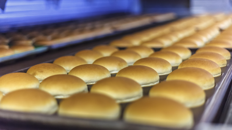 burger buns on production line