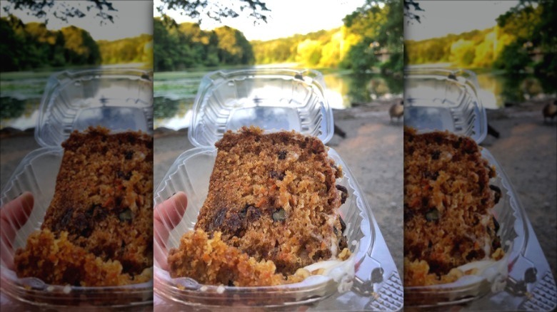 carrot cake at park