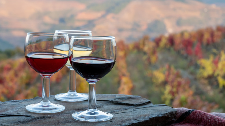 Glasses of port wines in Douro Valley