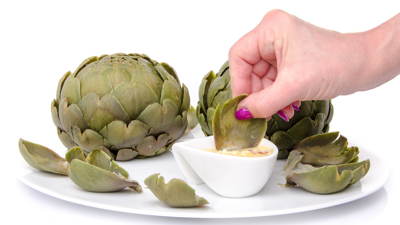 dipping artichoke leaf