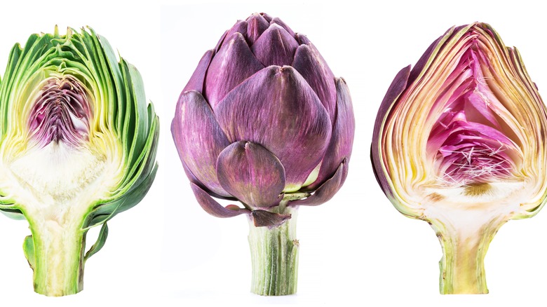 three green and purple artichokes