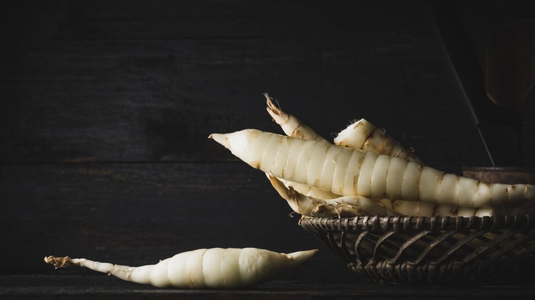 Fresh arrowroot in basket