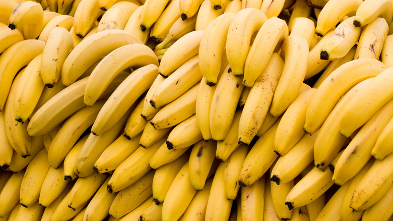 Large collection of ripe bananas