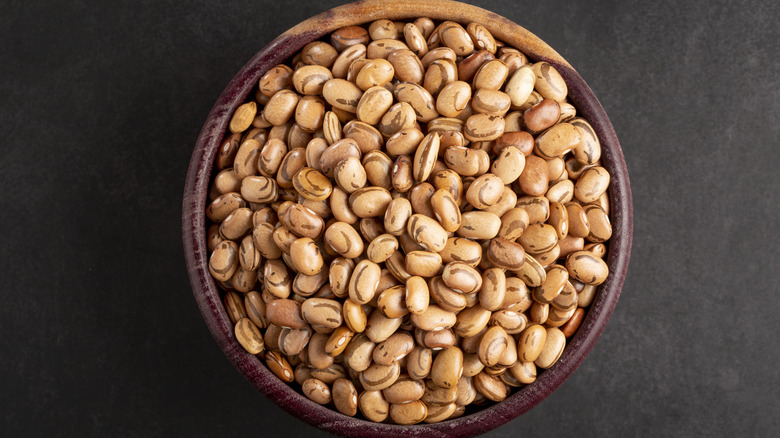 Bowl of dry pinto beans