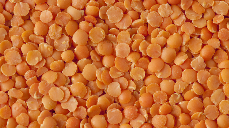 Close-up of red lentils