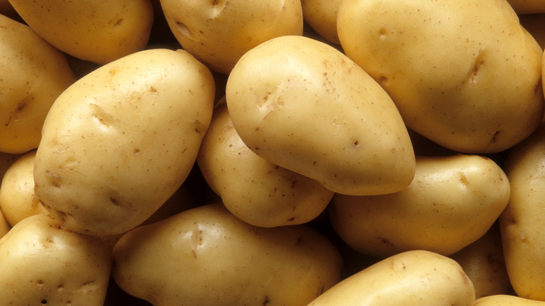 Close-up of white potatoes