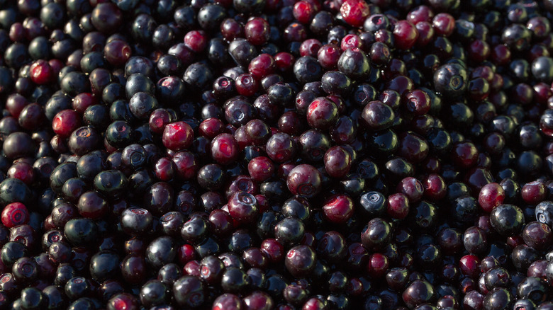 Pile of fresh huckleberries