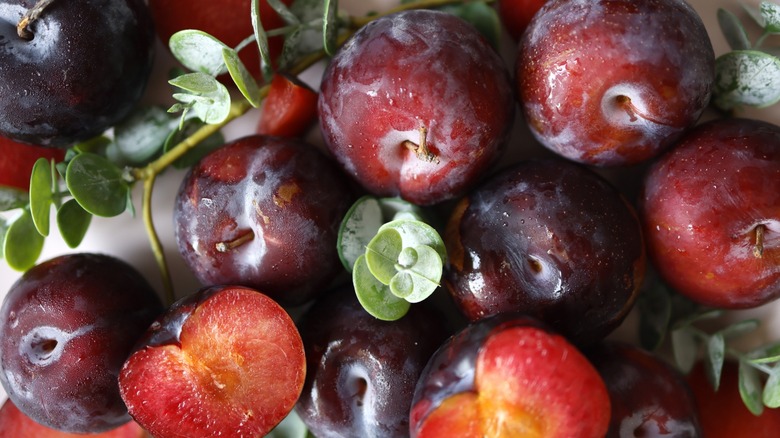 Fresh and juicy plums