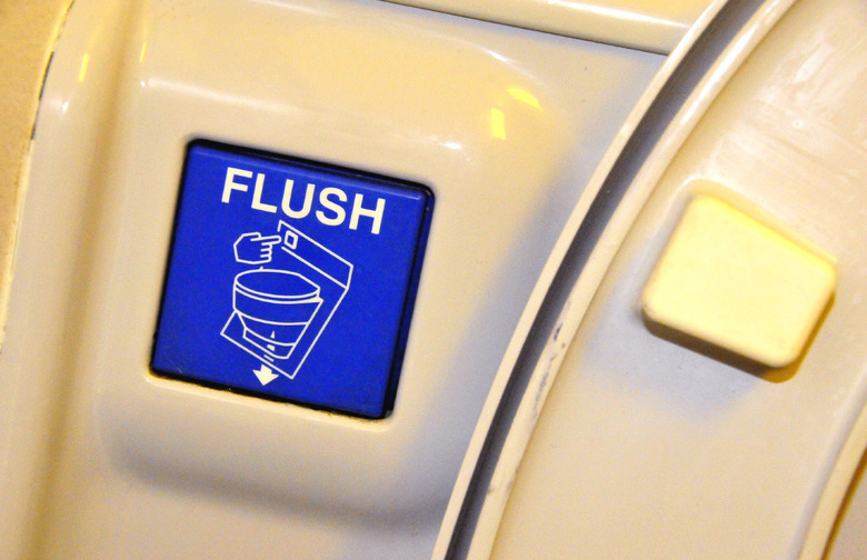 Lavatory Flush Buttons