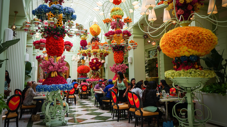 the buffet at wynn