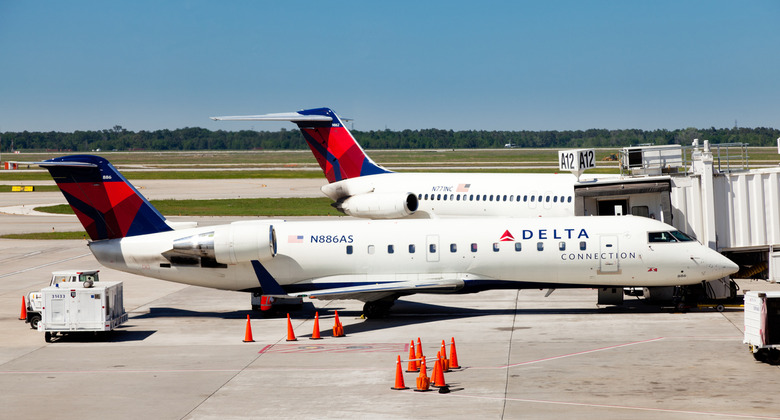 Delta Air Lines Threatens Family With Foster Care