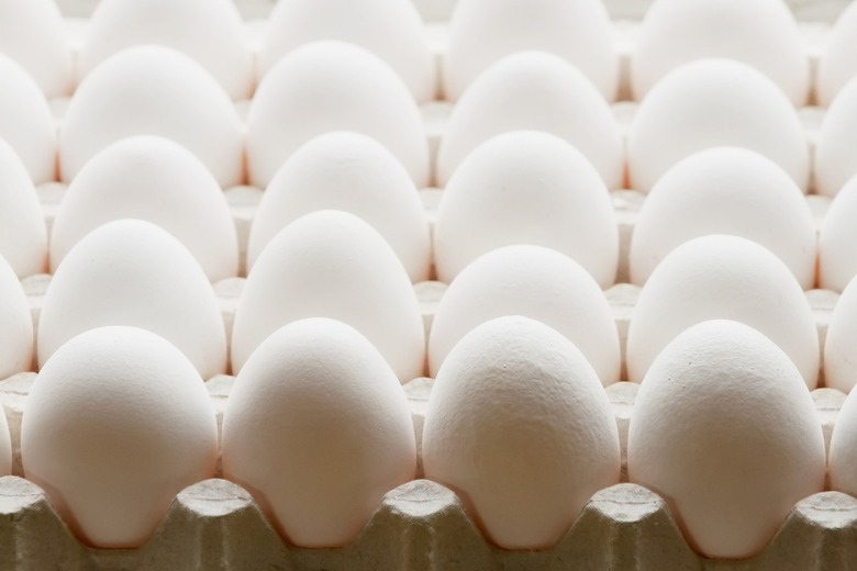  Salmonella Leads to 200 Million Eggs Being Recalled