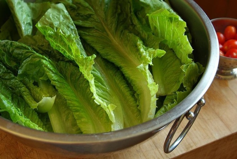 Romaine Lettuce Causes 3 Different E. Coli Outbreaks