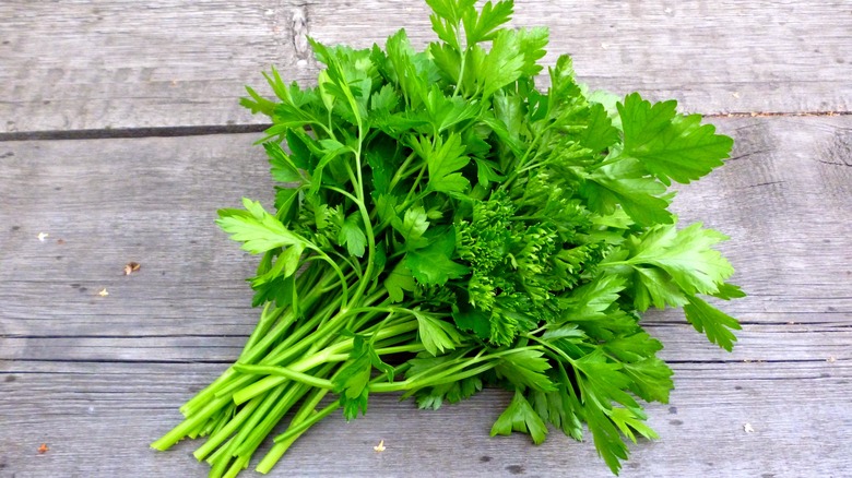 bunch of parsley