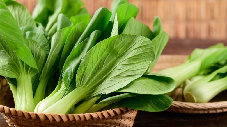 Bok choi in a basket