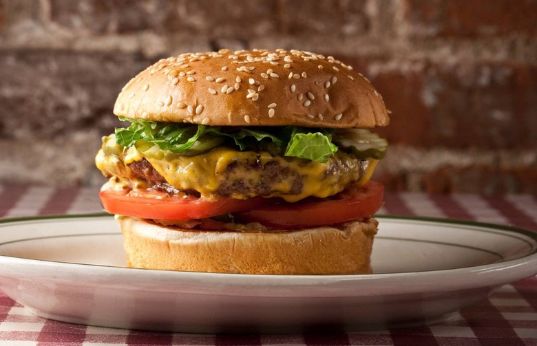 The 25 Best Cheeseburgers in America 2015