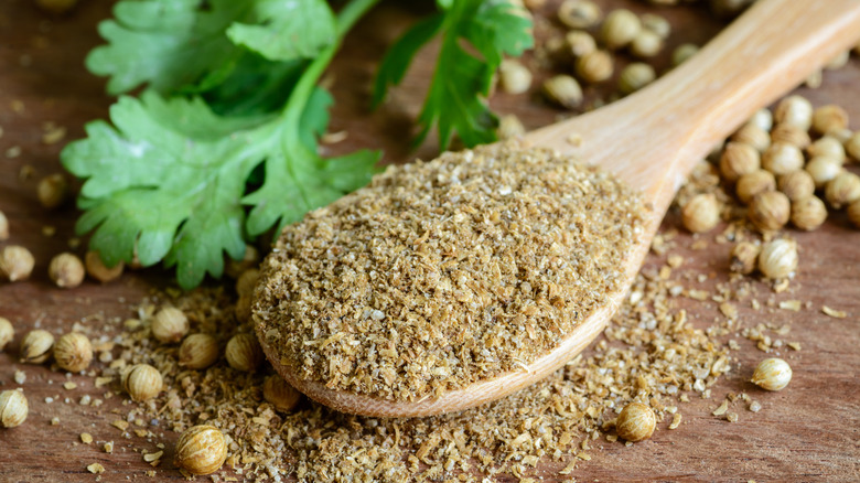 Ground coriander on wooden spoon