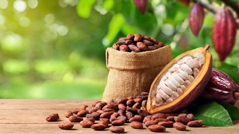 bag of cacao beans next to open pod