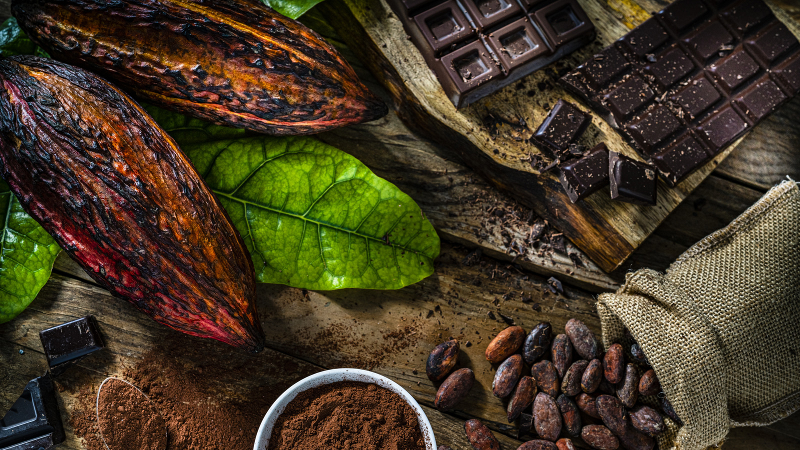 El arbol de cocao Single Origin Tree to Bar Chocolate